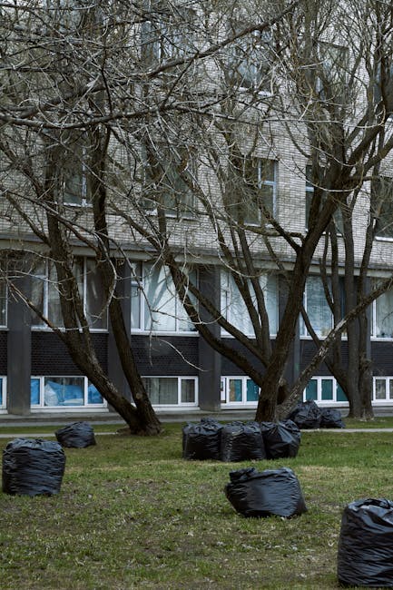 A person wearing a plaid shirt with yellow, gray, and blue tones, along with green disposable gloves, is holding open a large black plastic rubbish bag outdoors on a grassy area. The person's torso and hands are visible, with the bag positioned in front of their waist, ready to be filled with waste. The background consists of a lush, green lawn, suggesting a garden or park environment. The image captures the process of rubbish disposal, emphasizing the importance of proper waste collection and clearance, which is aligned with services like those provided by Rubbish Removal Harringay for private or alternative waste handling methods. The lighting appears natural, indicating an outdoor daytime setting, with no other objects or trash visible inside the bag at this moment, highlighting a clean and organized approach to rubbish removal.